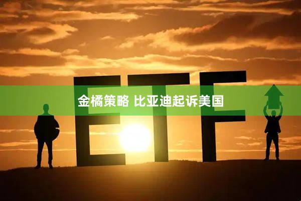 金橘策略 比亚迪起诉美国
